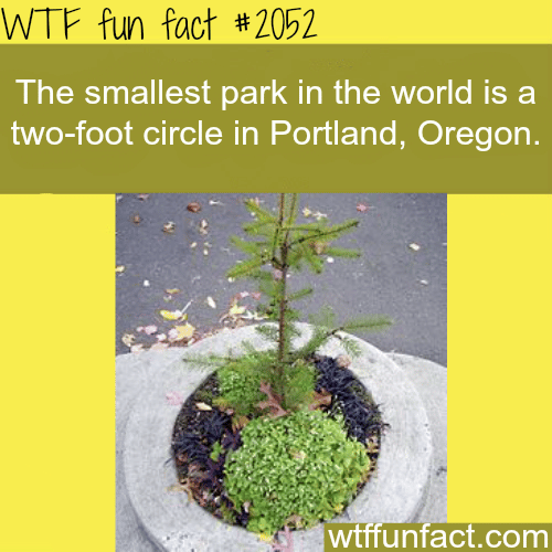 The smallest park in the world - WTF fun facts