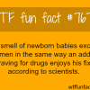 the smell of newborn baby wtf fun facts