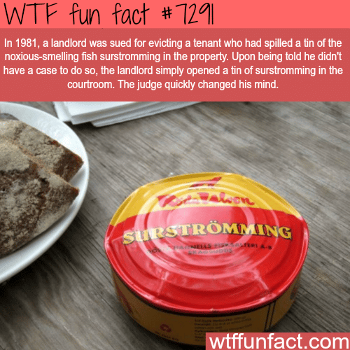 The smelliest food in the world - WTF fun fact