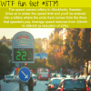 the speed cameras lottery wtf fun facts