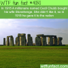 the stonehenge wtf fun facts