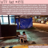 the story of 9 year old daniel cabrera wtf fun