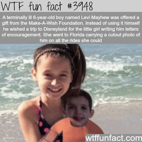 The story of Levi Mayhew  - WTF fun facts