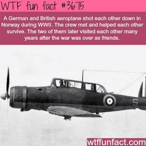 The story of two enemies who helped each other survive -  WTF fun facts