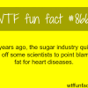 the sugar industry wtf fun facts