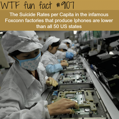 The Suicide Rates in Apple Factory - WTF fun fact