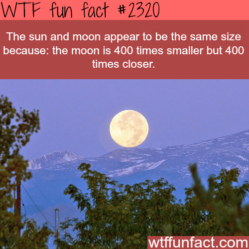 The sun and moon appear the same size - WTF fun facts