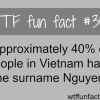 the surname nguyen is more common than you think