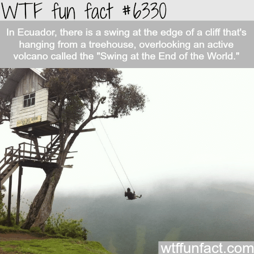 The Swing at the End of the World - WTF fun facts