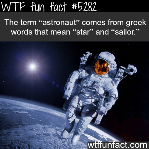 The term astronaut origins - WTF fun facts