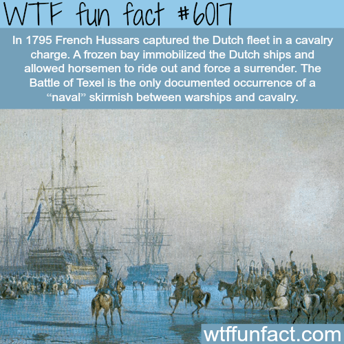 The time that French men on horses captured the Dutch fleet - WTF fun facts