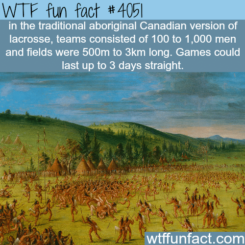 The traditional Canadian version of lacrosse - WTF fun facts
