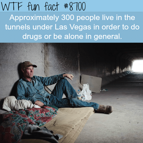 The tunnels in Las Vegas  - WTF fun facts