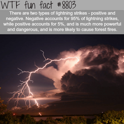 The Two Types of Lightning Strikes - WTF fun facts