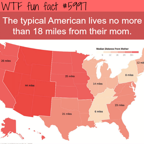 The typical American lives 18 miles from their mom  -  WTF fun facts