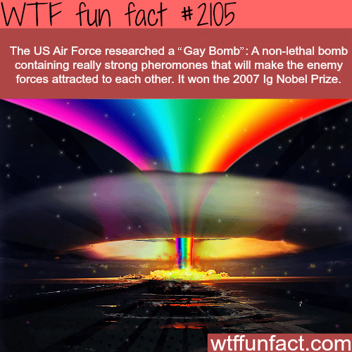 The U.S. Air force “Gay Bomb” - WTF fun facts