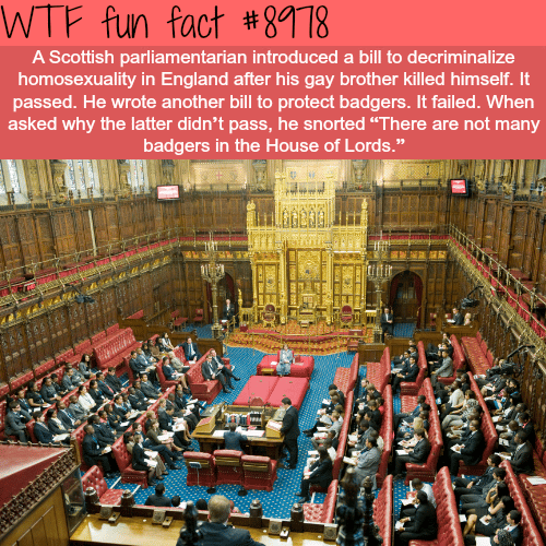 the UK’s House of Lords - WTF fun fact