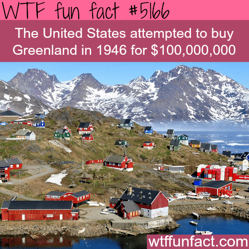 The United Stated wanted to buy Greenland - WTF fun facts