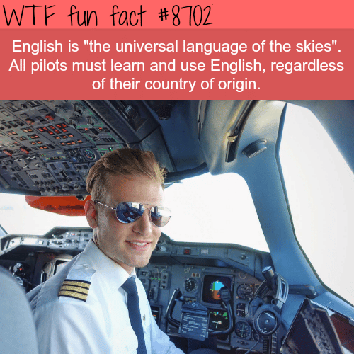 The Universal Language of the Skies - WTF fun facts