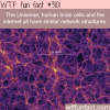 the universe and the human brain cell structure