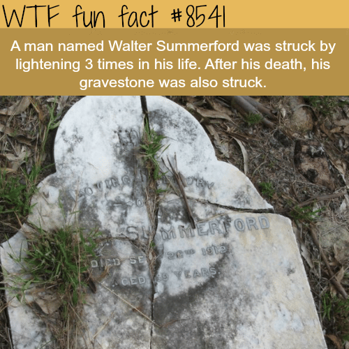The unluckiest man in history? Walter Summerford - WTF fun facts