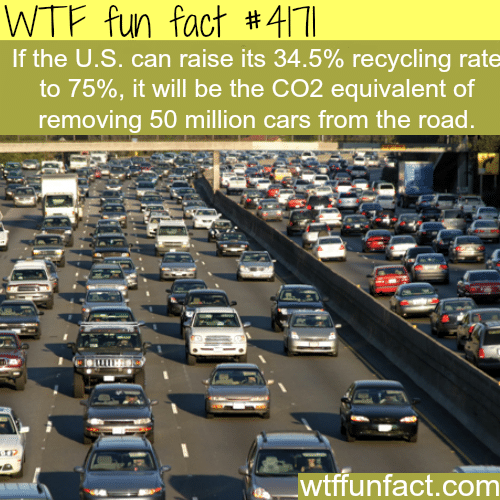 The U.S. recycling rate -  WTF fun facts