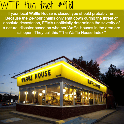 The Waffle House Index - WTF fun facts 