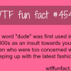 the word dude wtf fun facts