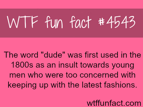 The word dude -   WTF fun facts