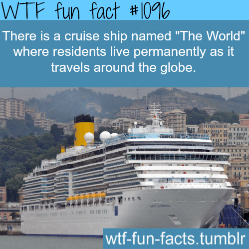 the world cruise ship