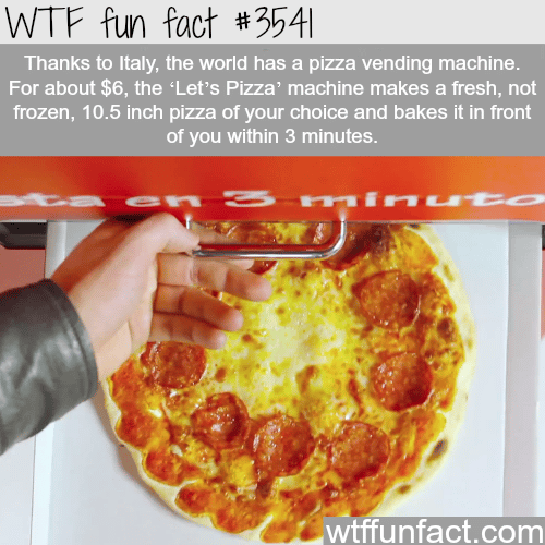 The world first pizza vending machine - WTF fun facts