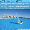 the worlds largest swimming pool wtf fun facts