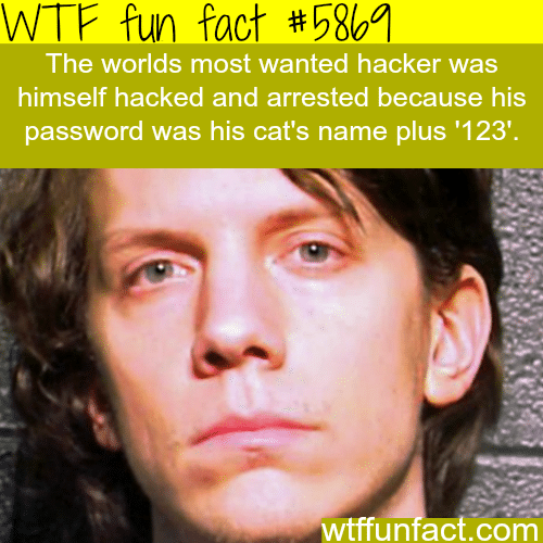 The worlds most wanted hackers - WTF fun facts