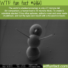 the worlds smallest snowman wtf fun fact