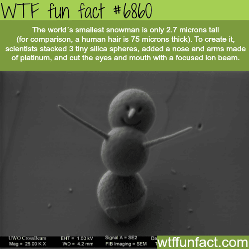 The World’s smallest snowman - WTF fun fact