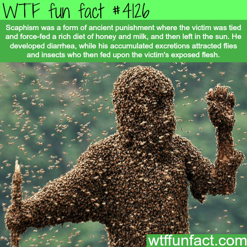 The worst method of torture -  WTF fun facts