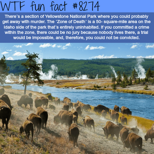 The Zone of Death - Yellow Stone National Park - WTF fun facts