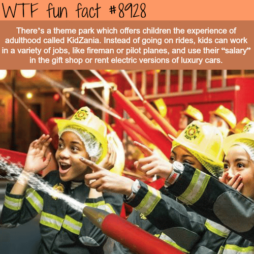 Theme park KidZania - WTF fun facts