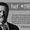 theodore roosevelt mother and wife history