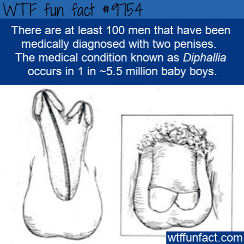 There are at least 100 men that have been medically diagnosed with two penises.  The medical condition known as Diphallia occurs in 1 in ~5.5 million baby boys.