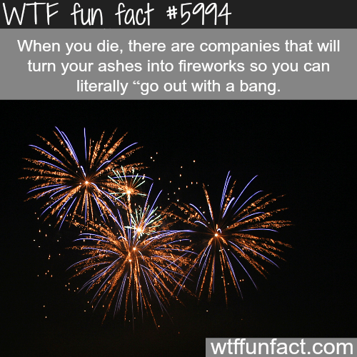 There are companies that will turn your ashes to fireworks - WTF fun facts