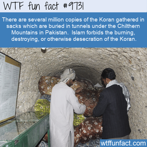 There are several million copies of the Koran gathered in sacks which are buried in tunnels under the Chilthern Mountains in Pakistan.  Islam forbids the burning