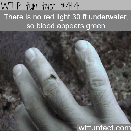 There is no red color underwater -  WTF fun facts