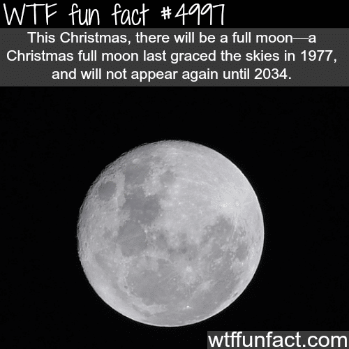 There will be full moon this Christmas - WTF fun facts