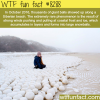 these giant balls showed up at a siberian beach