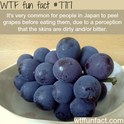 Things only found in Japan - WTF fun facts 