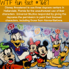 things you dont know about disney wtf fun facts