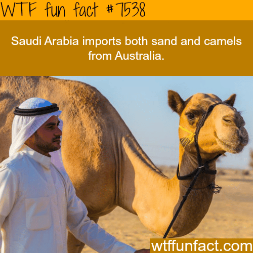 Things you never knew about Saudi Arabia - WTF fun facts