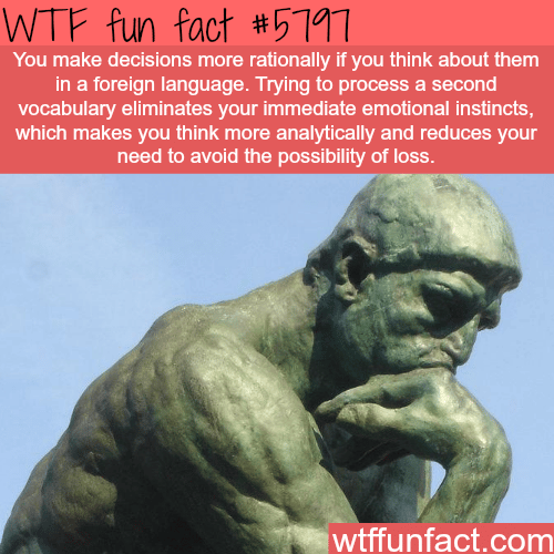 Thinking in a foreign language - WTF fun facts