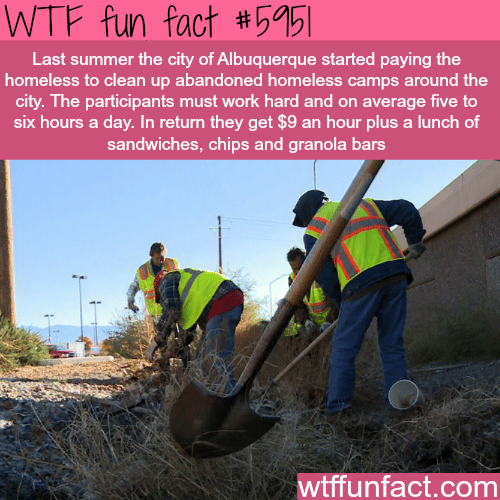 This city pays the homeless $9 an hour for cleaning - WTF fun facts
